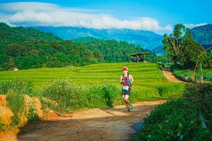 BIB: 
                            <button type="button" onclick="openModal(25042268)" class="btn btn-primary btn-sm float-right btn-popup" data-toggle="modal" data-target=".modal-high-quality">
                        <i class="fas fa-shopping-cart"></i> Add to Cart
                    </button>
                                            <button type="button" onclick="isThisMe(25042268, true)" class="btn btn-success btn-sm float-right btn-popup btn-isme hidden" data-toggle="tooltip" data-placement="bottom" title="นี่คือรูปของคุณใช่ไหม คลิกที่นี่เพื่อเอาเข้าอัลบั้ม">
                        <i class="fas fa-plus"></i> Add to album
                    </button>
                    <button type="button" onclick="isThisMe(25042268, false)" class="btn btn-warning btn-sm float-right btn-popup btn-isnotme hidden">
                        <i class="fas fa-ban"></i> Remove from album
                    </button>